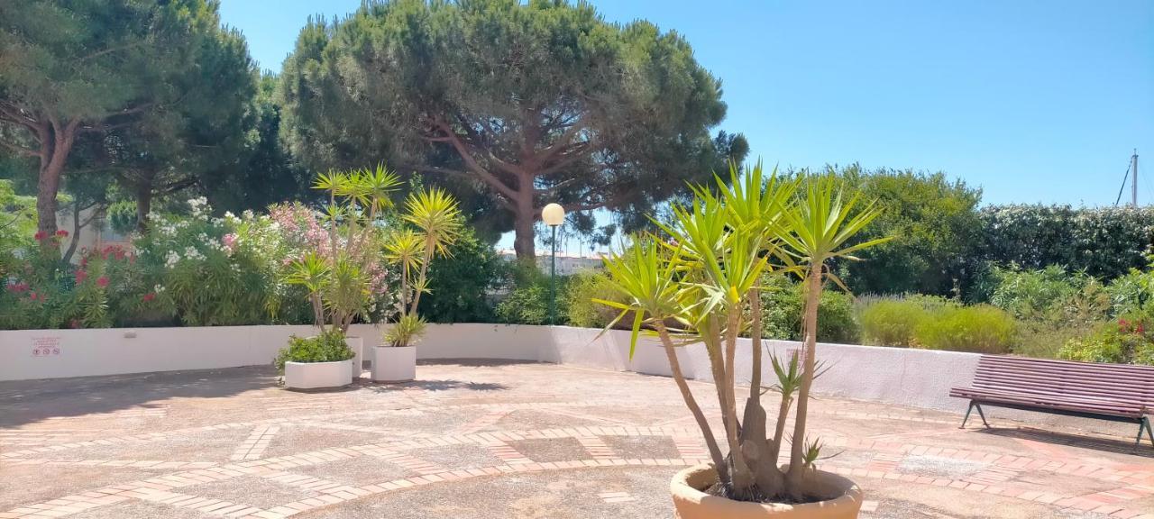 Studio Cap D'Agde La Grande Voile 外观 照片